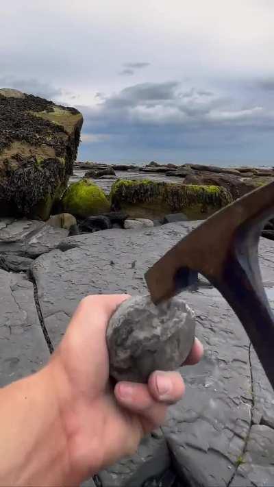 ...to an informative short.