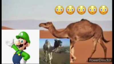 halman اشتعلت لويجي على شريط LUIGI CAUGHT on tape 4K 360p الجنس الاباحية مثلي الجنس نص عربي هنا
