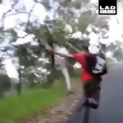 Just making sure it won’t hurt anyone.