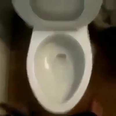 yardim edin nasil geri alacagim?