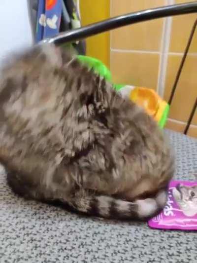 Rise and shine buddy