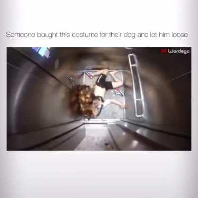 This dog scaring people