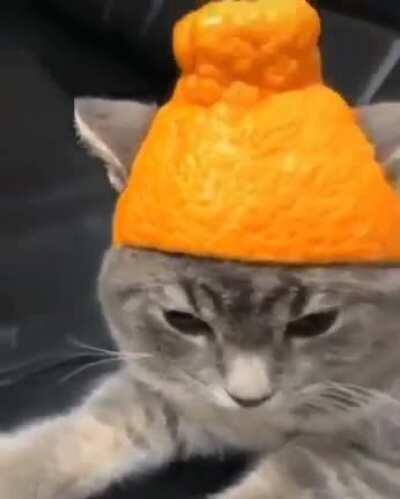 Era: ? Genre: post punk? Year: ? Sound like some european post punk or maybe gotic