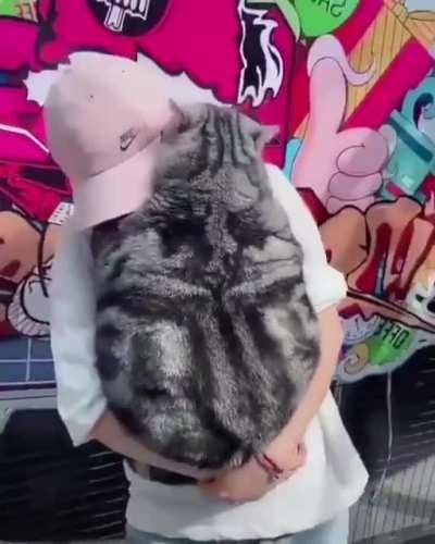 You have to carry it because it can’t walk.