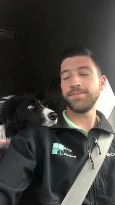 Roxie dropping by for a kiss each time we come to a stoplight 🥰 I love my needy BC