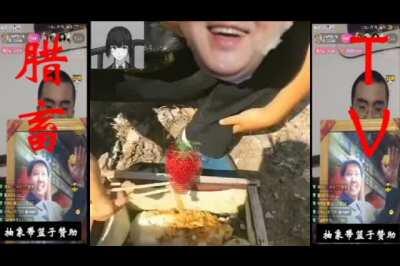 腊畜TV出道第一作