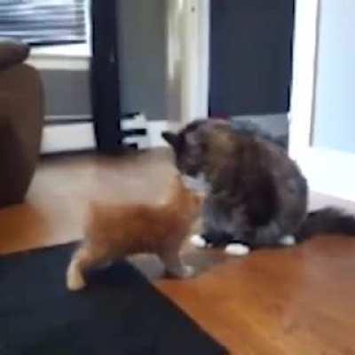 YOU DARE CHALLENGE ME, PUNY ONE!?