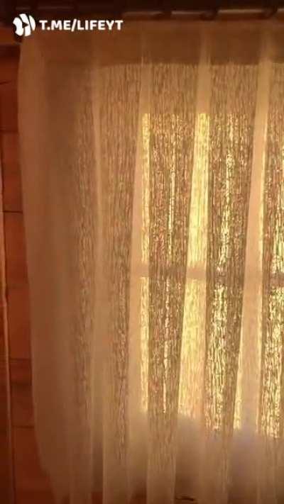 Как вам такой вид из окна?