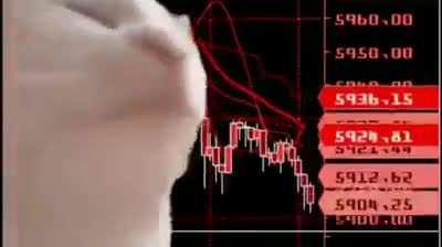 Wallstreet getting fucked today 🐸🍦🦧🚀🐱‍👤🐱‍🐉🌈🌕