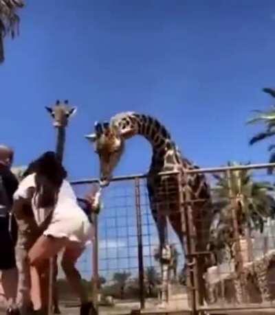 Trying to fling him to the 5g cloud