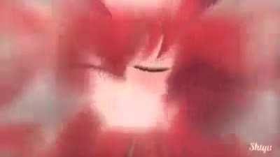 Sarsa: high school DXD