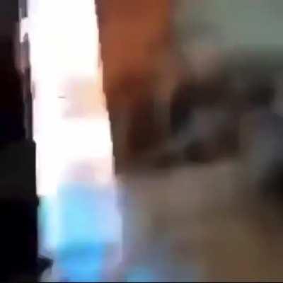 He died like persona 3