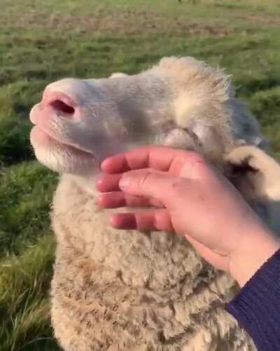 When you had enough BS for today and you just need to see something heartwarming.