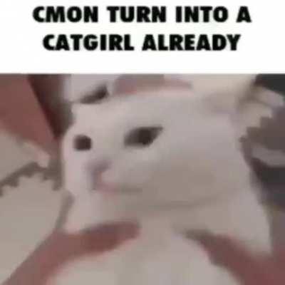 Era: Modern Genre: Videogame OST(?)