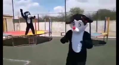 Ai pateta, solta o meu rabo