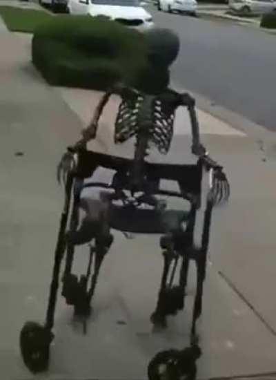 A certified 💀 classic