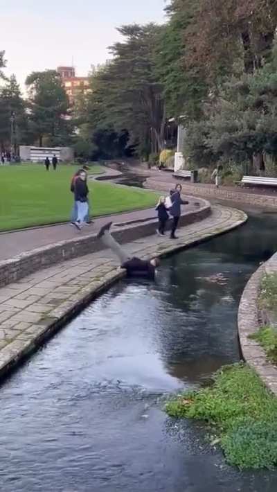 WCGW leaping over a wide stream