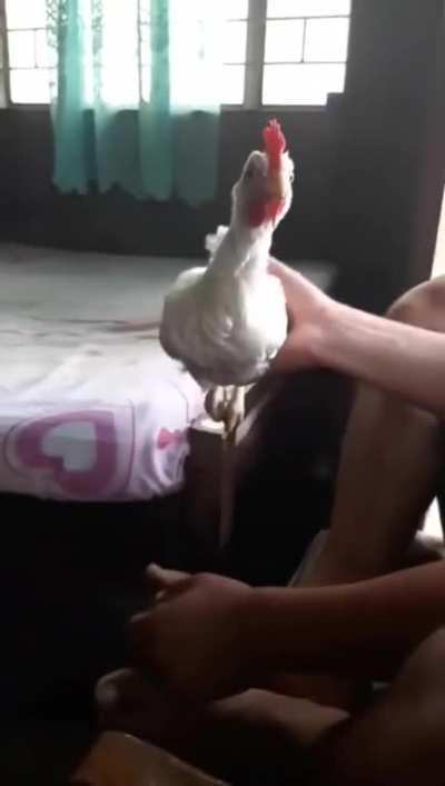 If this doesn't convince people they aren't real, I do not know what will.