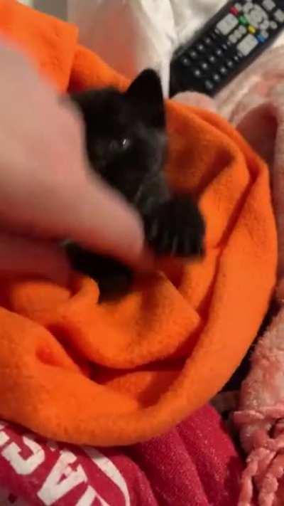 Criminal has taken me hostage, I fear I may never get my finger back!