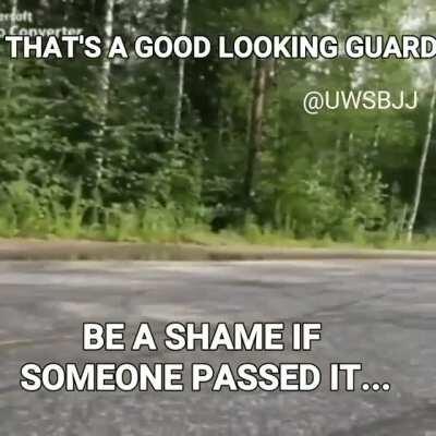 Stupid higher belts...