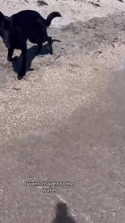 Beach day with Salem