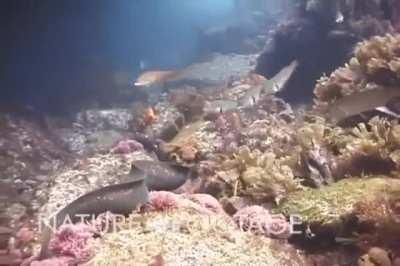 Me when i mount a monster