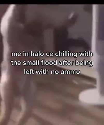 the halo ce experience