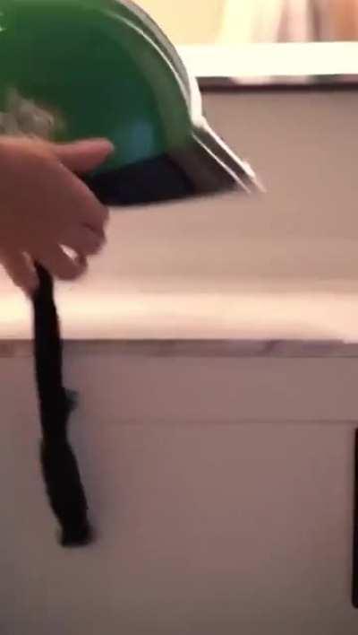 Escalated so Quickly