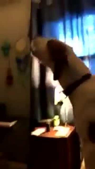 Onde está a foda Negro? Está vadia está a cuspir fatos 😎😎😎