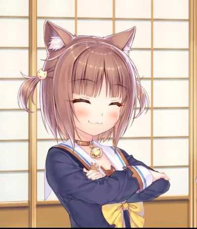 Purr Azuki