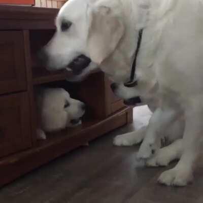 Mom & Dad having fun with their kiddo.