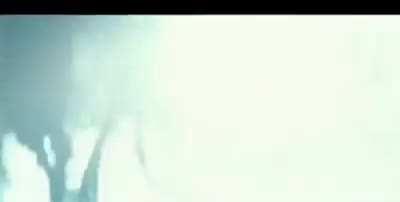 SIUM POTTER E L'ASPECTO PATRONUM