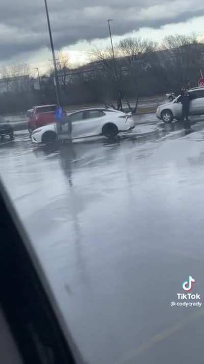 shopping carts gone wild