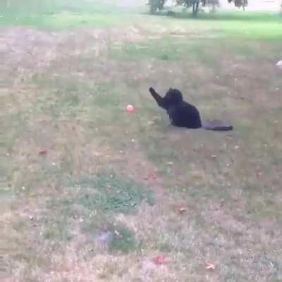 ERROR: SENSORY OVERLOAD DETECTED, SHUTTING DOWN. (play module improperly downloaded)