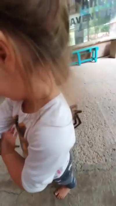 Would you let your daughter have pet tarantulas?