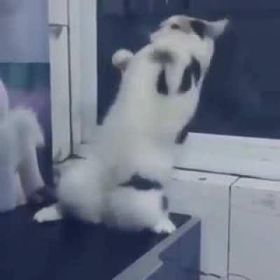 When the rhythm finally gets ya