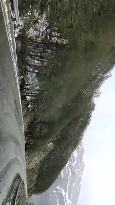 Hace un par de horas, paso Garibaldi, Tierra del Fuego