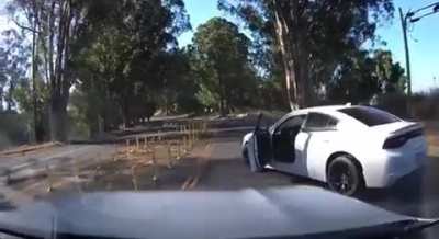 Woman narrowly escapes 3 armed carjackers. They were later arrested.