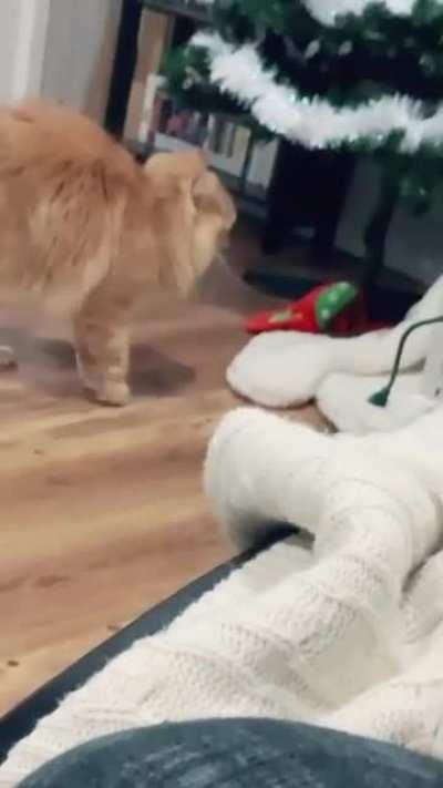 Deja Vu! Ive just been in this place before :D