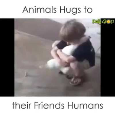 Hugs