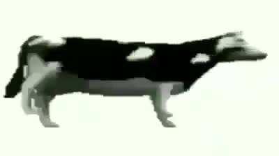 Me 4pm when class over