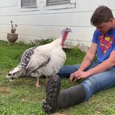 Sealy has a chat with a super volunteer at Rowdy Girl Sanctuary (sound on!)