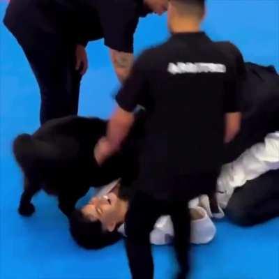 Dog Thought It Was Protecting Its Owner