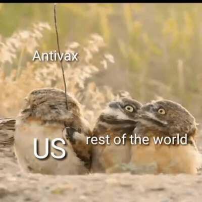 My first gif meme lol