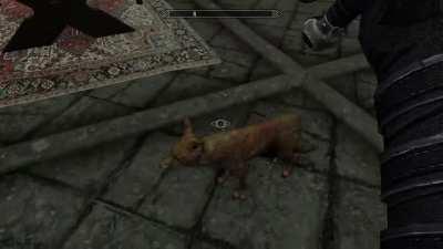 i had no clue pets were a thing