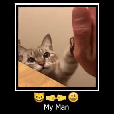 😺🤝😀