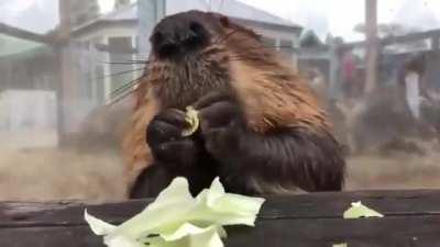 Приятного аппетита