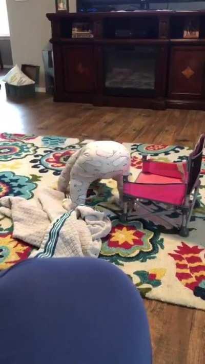 Instructions for new chair unclear...