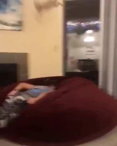 I feel bad for the cat