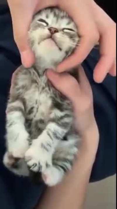 Electro-beans activate!